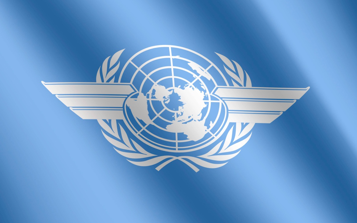 Москва потребовала от ICAO осудить авиационный террор Киева