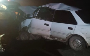 В Кемеровской области в результате ДТП пострадали четверо детей и трое взрослых