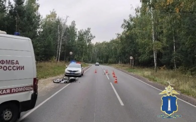 Байкер погиб, столкнувшись с собакой на трассе в Ульяновской области
