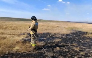 В Оренбургской области жителей двух сел эвакуировали из-за природного пожара