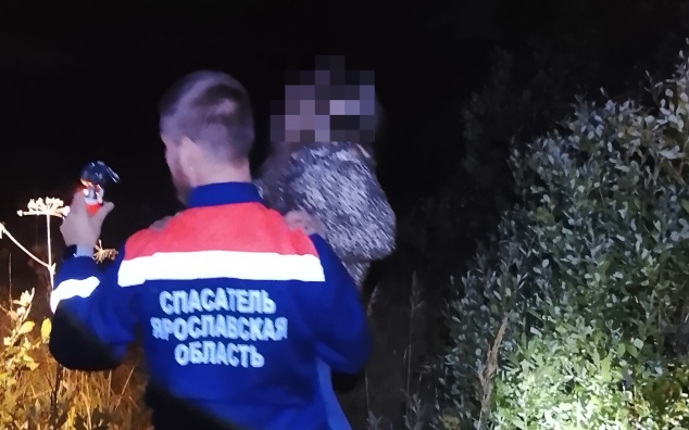 Мужчину с ребенком вывели из болота в Ярославской области