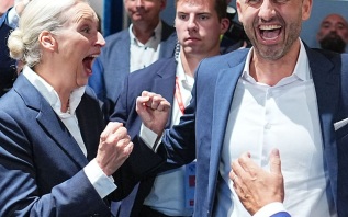Политолог уверен, что АдГ не смогут повторить свой триумф на следующих выборах