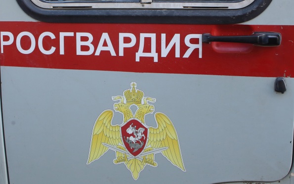 В Росгвардии опровергли сведения о гибели бойцов ЦСН "Витязь" под лавиной в КБР