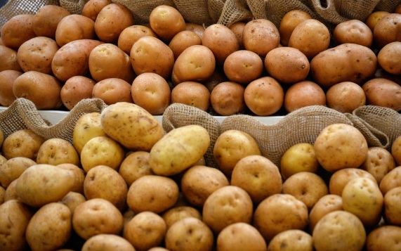Руспродсоюз: картофель стал самым подешевевшим продуктом в России