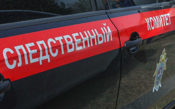 Полиция Камчатки выплатит 1 млн руб. за помощь в поимке матери, убившей ребенка