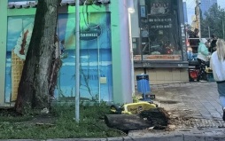 В Самаре возбуждено дело после травмирования подростка при падении на нее дерева