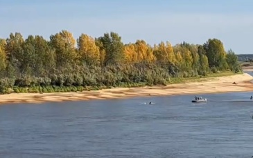 В Томской области местные жители застрелили медведя, шедшего в поселок