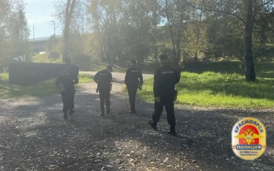 В Красноярске ищут дикого животного, замеченного на территории Татышев-парка