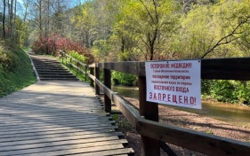 Восточный вход парка "Красноярские Столбы" закрыли для туристов из-за медведей