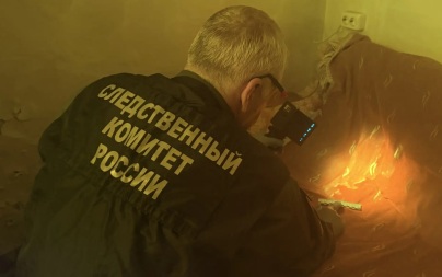 Житель Хабаровска до смерти избил мать за устроенный беспорядок
