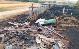 Во время полевого пожара в Самарской области пострадало кладбище