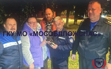 Использовали строительный пылесос: в Подмосковье спасли упавшего в трубу котенка