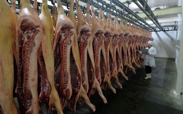 Врач назвала продукты, которые особенно опасны после конца срока годности