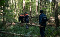 Под Коломной спасатели помогли трем заблудившимся в лесу женщинам