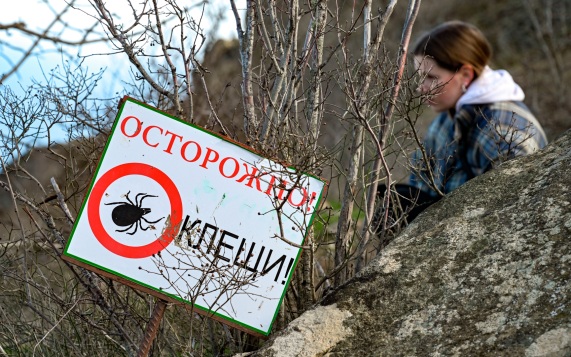 В первые дни осени к врачам после укусов клещей обратились свыше 2 тыс. человек