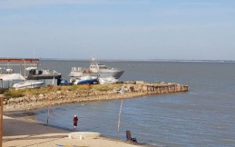 В Азовском море появились новые виды рыб