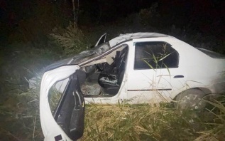 Новгородец погиб из-за внезапно появившегося на трассе лося