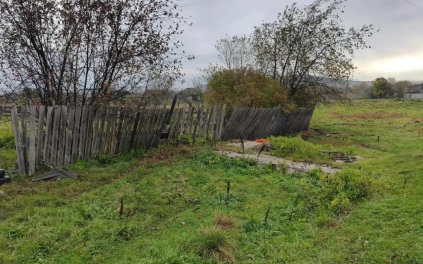 В Красноярском крае устанавливают обстоятельства гибели женщины от медведя