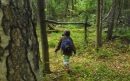 Родители сообщили о пропавшем в Тверской области 14-летнем мальчике спустя сутки