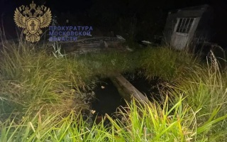 Трехлетний мальчик утонул в искусственном пруду у частного дома в Подмосковье