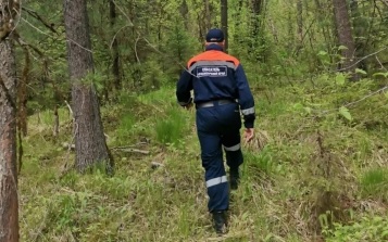 В Красноярском крае ищут 34-летнего мужчину