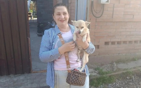 Полиция Красноярска помогла вернуть сбежавшую собаку