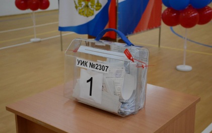 На избирательный участок в Тюменской области пришла женщина с гусем в шляпе