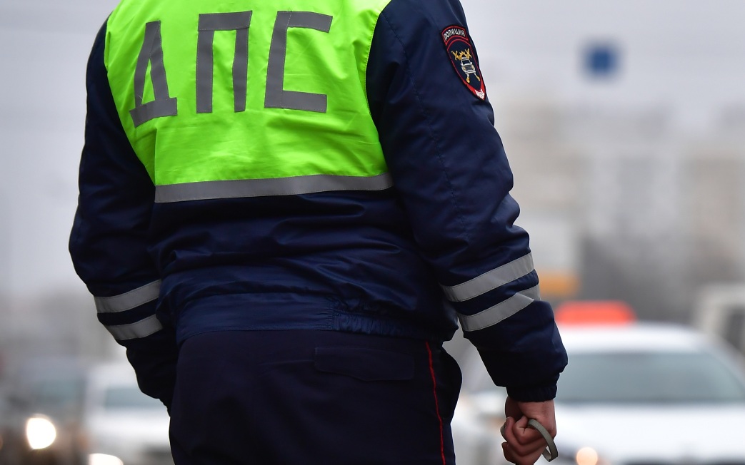 Сбитую на трассе собаку, застрявшую в отбойнике, спасли в Москве