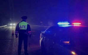 Ночью в Екатеринбурге автомобилист насмерть сбил пешехода и скрылся