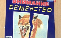 В Луховицах выявили вспышку бешенства животных
