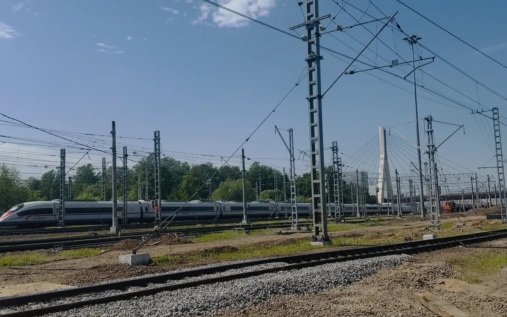 В Ленобласти поток воздуха от проходящего "Сапсана" убил мужчину