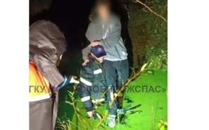 В Московской области спасатели помогли 17-летнему курьеру, застрявшему в болоте