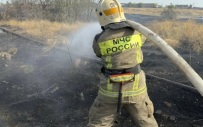 В Волгоградской области потушено крупное возгорание сухой растительности