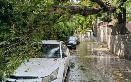 Девять автомобилей повреждены в Ялте из-за сильного ветра