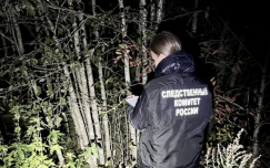 В Вологодской области медведь напал на мужчину и нанес ему смертельные раны