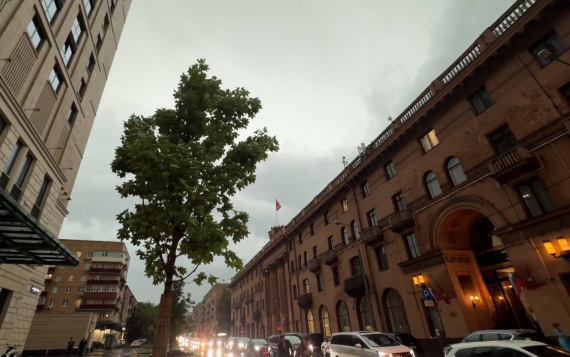 В пятницу воздух в Москве прогреется до 12-14 градусов