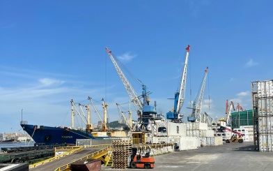 Россельхознадзор объяснил сохранение запрета на импорт из Армении