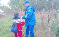 За сутки в Ленобласти спасатели вывели из леса 4 заблудившихся человек