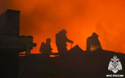 В Кузбассе потушили крупный пожар, на котором спасли 27 животных