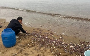 После шторма во Владивостоке на берег выбросило морских червей
