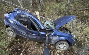 В Вологодской области авто съехало в кювет — погиб водитель