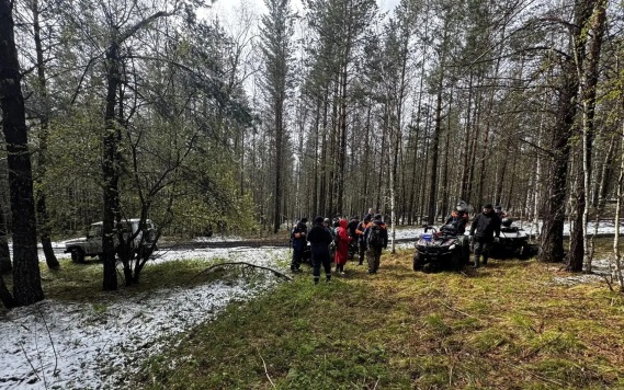 За год проведено 11 поисковых операций на месте пропажи семьи Усольцевых