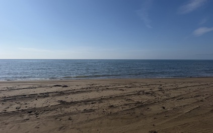 На Сахалине на берег моря вынесло огромные кости неопознанного животного