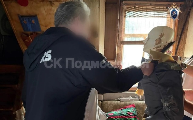 Мужчину, убившего 83-летнюю мать топором, осудили в Раменском