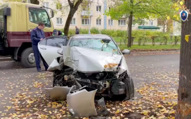 В Железногорске автомобиль наехал на мужчину с детьми, два человека погибли