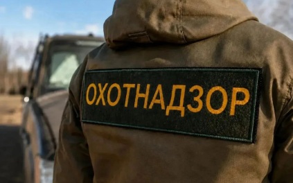Жители Забайкалья получат 15 тысяч рублей за добытого медведя