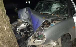 Автомобилист на Lada Priora врезался в дерево и погиб в Пятигорске