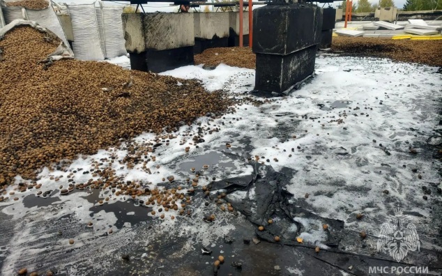 Из дома в Нижегородской области эвакуировали 25 человек после возгорания крыши