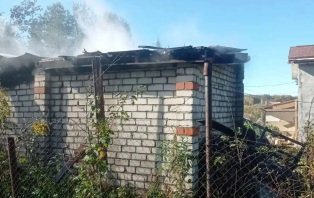 При пожаре в селе Нижегородской области погибли 3 собаки и 4 кошки