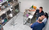 Неизвестный мужчина жестоко избил пожилую собаку на парковке в Казани